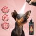 GROOM PROFESSIONAL Christmas Cookies Dog Cologne Spray - Dog Perfume Spray - Dog Spray for Smelly Dogs - Irresistible Scent of Cookies Vanilla & Rich Cream - Long-Lasting Scent 500ml 500 ml (Pack of 1) - Buy Online on GoSupps.com