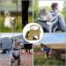 Tactical Cat Dishes & Safe Cat Vests | Adjustable Pet Tableware for Large Cats & Small Dogs - Black with Leash - Buy Online on GoSupps.com