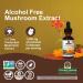 Nature's Answer Cordyceps Mushroom Extract Alcohol Free 1 fl oz (30 ml) - Buy Online on GoSupps.com