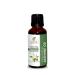 Jasmine Oil -(Jasminum Grandiflorum)- Essential Oil 100% Pure Natural Undiluted Uncut Therapeutic Grade Oil 1.01 Fl.OZ Jasmine Oil 1 Fl Oz (Pack of 1)