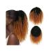 Ponytail Extension Afro Puff Drawstring Ponytail Extension 14-22 Afro Kinky Curly Human Hair Pony Tail for Black Women #1B/30 Remy Hair Drawstring Ponytail Hair Pieces Ponytail Hairpiece for Women ( 14inches