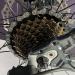 Hycline Bike Freewheel 8 Speed 13-32T Threaded Type for Cycling Replacement - 6/7/8/9 Speed Options Available - Buy Online on GoSupps.com