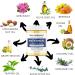 Antifungal Cream for Skin Fungus & Eczema Relief - Made in UK (100g) | Sera Organics - Buy Online on GoSupps.com