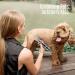 ONAHA Dog Trimmer - Rechargeable Cordless Pet Shaver for Thick Coats - Low Noise & Waterproof Stainless Steel Blades - Ideal for Grooming & Men's Trimming - Grey - Buy Online on GoSupps.com