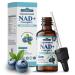 Liposomal NAD+ Liquid Drops, 8-in-1 NAD Nicotinamide Riboside Resveratrol 900mg w. Quercetin & Urolithin A | Fast Absorption NAD+ Supplement with CoQ10, ALA | Cellular Energy, Anti-Aging, Vitality Blueberry 2 Fl Oz (Pack o