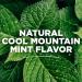 Tom's of Maine Wicked Fresh Mouthwash Cool Mountain Mint - Natural Oral Care - Buy Online on GoSupps.com