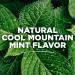 Toms of Maine Mouthwash - Fresh Mint Flavor - Buy Online on GoSupps.com