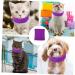 FRCOLOR 2pcs Portable Snood Dog Supply for Warm Pets Accessory Earmuff Comfortable Pet Elastic Puppy Lint Sx2pcs Purplex2pcs - Buy Online on GoSupps.com