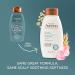 Aveeno Rose Water & Chamomile Blend Sulfate-Free Conditioner - 12 Fl Oz - Gentle Cleansing for Dry Scalp - Paraben & Dye-Free - Buy Online on GoSupps.com