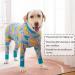YeaPeeto One-Divider Pajamas for Large & Medium Dogs - Relaxation Wound Protection Allergy Relief Anti-Lick Cone Alternative (6XL Dinosaurs) - Buy Online on GoSupps.com
