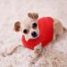 Dog Fleece Vest 4-Piece Set | Cozy Winter Jacket for Small Dogs | Pet Sweater Vest with Leash Ring | Purple Blue Rose Red - Buy Online on GoSupps.com