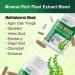 Sea Moss Capsules Irish Sea Moss Pills w/ Ashwagandha Supplements Chlorella Black Seed Oil Bladderwrack and Vitamin C Vitamin D3 for Women and Men.Third-Party Tested(Made & Tested in USA) 60 Capsules - Buy Online on GoSupps.com