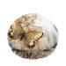 AOYEGO Golden Butterfly Bath Hair Cap Beautiful Water Butterfly Dancing in The Flowers Reusable Shower Caps Hotel Travel Essentials Accessories for Women Girls Hair Care 10.6 x 4.3 x 0.15 Inch Golden Butterfly