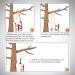 Arborist Friction Saver Tree Climbing Cambium Saver - Retrievable Anchor Loop Belt Sling CE Certified 23KN 47.2 in/35.4 in 35.4 Feet - Buy Online on GoSupps.com