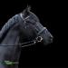 Buy Sprenger NOVOcontact Double-Breasted Olive Head Snaffle 14mm - SENSOGAN 1 Piece for Superior Control | Fast International Shipping - Buy Online on GoSupps.com