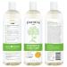 Puracy Children's Shampoo & Body Wash - 12 Fruit & Vegetable Extracts, Gentle Citrus Aromas, 98.8% Natural Ingredients - 2 Pack, 12 Fl Oz Each - Buy Online on GoSupps.com