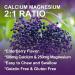 Calcium Magnesium Zinc Gummies with Vitamin D3 - High Absorption Complex Calcium Supplement with Sea Moss Elderberry for Bone Muscles Immune Mood & Sleep Support Vegan - 60 Gummies (2 Pack) Elderberry 60 Count (Pack of  - Buy Online on GoSupps.com