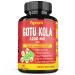 Organic Gotu Kola Extract Capsules Equivalent to 3200MG & Reishi, Cordyceps, Rosemary, Gingko Biloba, Valerian Powder | Brain Booster for Clarity Memory Focus| Nervous System Support, 3 Months Supply