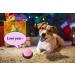 Dog Buttons Talk Training Dog Buttons for Communication Pet Talking Training Answer Buzzer 30 Second Record &Playback Funny Gift for School Study Office Home (Packs-4) - Buy Online on GoSupps.com