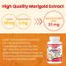 Nutridom Lutein 20mg with Zeaxanthin 2mg Marigold Flower Extract Supports Eye Health Non-GMO Vegan Gluten-Free Dairy-Free Soy-Free 2-month-supply (60 Count) - Buy Online on GoSupps.com