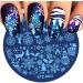 1Pcs Christmas Nail Stamping Plate - Snowflakes & Skull Polish Template for Perfect Manicure - Buy Online on GoSupps.com