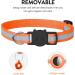 Buy Reflective Airtag Cat Neck Band - Integrated Necklace with Holder & Bell - Safety Buckle for Kittens & Puppies - Orange - Buy Online on GoSupps.com