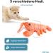 Pettec Interactive Cat Toy - Electric Movable Lobster with Catnip | Self-Employment & Automatic Play for Cats - Buy Online on GoSupps.com