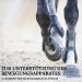 Premium Natural MSM Boots for Horses | 100% Organic 1kg - Supports Gel Metabolism Skin Fur & Hoof Growth - Buy Online on GoSupps.com