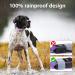 Buy Masbrill LED Dog Collar - Waterproof Luminous Safety Collar with 3 Flashing Lights for Small to Large Dogs (Purple 48-60cm) | International Shipping Available - Buy Online on GoSupps.com
