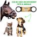 Natiform Personalized Dog Tags Slide-On Pet ID Tags Fun Wild Flower Frame Design Stainless Steel Dog Name Tags Engraved No Noise Customized Pet Identification Tags(L Gold) - Buy Online on GoSupps.com