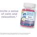 Mommy's Bliss Kids Feel Calm Gummies - Magnesium & L-theanine Formula, Sugar Free Raspberry Lemonade Flavor | 60 Gummies, Age 4 - Buy Online on GoSupps.com