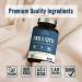 Probiotics 60 Billion CFU 19 Strains with Organic Prebiotic | Shelf Stable Delayed Release | Digestive & Immune Health Support | Non-GMO Vegan Formula - 60 Caps - Buy Online on GoSupps.com