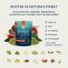 Bondi Pure - Daily Health & Detox Drink - Promote Gut Health & Energy Support During a Cleanse or Intermittent Fasting - Plant-Based Fibers Alkalizing Super Greens - Blood Orange (30 Servings) Blood Orange 30 Servings (Pac  - Buy Online on GoSupps.com