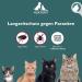 Hukasin Spot On Cat - Long-Lasting Tick & Flea Protection for Cats Up to 12 Weeks - Effective Flea Remedy for Cat Health - Buy Online on GoSupps.com