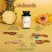 Buy Vegavero Natural Digestive Enzymes - Bromelain Papain Amylase Lipase Cellulase | Gastroke-Resistant DRCAPS | German Quality | No Additives | International Shipping Available - Buy Online on GoSupps.com