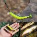YONGZHI Fishing Lures - Shallow & Deep Diving Swimbait Crankbait for Bass Trout - Multi Jointed Hard Baits - Freshwater & Saltwater (Hooks Included) - Buy Online on GoSupps.com