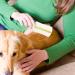Pet Comb for Cats | Double-Sided Dog Grooming Comb Pet Flea Comb Hangable Cat Grooming Comb Pet Grooming Comb for Home Pet Shops Green - Buy Online on GoSupps.com