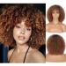 Kalyss Short Afro Kinky Curly Wigs for Black Women Premium Synthetic Afro Curly Full Wigs with Hair Bangs (Ombre Brown)
