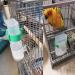 Hamiledyi Parakeet Water Dispenser Set - No Mess Parrot Feeder - Automatic Feeding for Cockatiels, Budgies, Finches, Canaries, Lovebirds - Buy Online on GoSupps.com