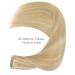 Salife Real Hair Tape Extensions - 20PCs 50g 22 Inch Light Blonde Highlights - Remy Invisible Skin Weft #16/2 Hellblond - Buy Online on GoSupps.com