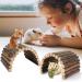 Shop Premium Hamster Toys & Small Animal Accessories | Hamster Wheels Hiding Places & More! - Buy Online on GoSupps.com
