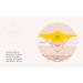 First Honey 100% Active Manuka Honey Ointment | 14.2g | Soothes Heat, Itchiness & Pain | Sterile & Protects from Infection - Buy Online on GoSupps.com