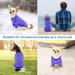Mosucoirl Winter Dog Sweater - Comfortable Fleece Sweater for Cats & Small to XXL Dogs | Warm Pet Clothing & Costumes in Blue - Buy Online on GoSupps.com