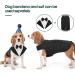 Kuoser Dog Tuxedo Wedding Suit & Bandana Set | Puppy Formal Shirt with Bow Tie | Costume for Party, Birthday, Festival | XXL Size - 23.6 Back Length, 31.5-35.4 Chest | Black - Buy Online on GoSupps.com