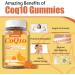2 Pack CoQ10 500MG Gummies - Vegan Omega-3 Magnesium Vitamin B3 & Zinc | 3X Absorption for Heart Health & Energy - Non-GMO 120 Counts - Buy Online on GoSupps.com