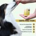 Felmo Bladder & Urinary Tract Snacks for Dogs - 70 Grain-Free Treats for Bladder Support & Incontinence Relief - Buy Online on GoSupps.com