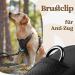 Rabbitgoo Dog Harness for Small Dogs - Adjustable No-Choke Reflective & Padded Chest Harness - Anti-Pull with Handle - Black (1 Pack) - Buy Online on GoSupps.com