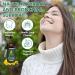 FITactic ETHALE Mullein Drops for Lungs Mullein + Chlorophyll Lung Drops Mullein Leaf Extract with Chlorophyll Mullein Leaf Extract for Lung Cleanse and Respiratory Support (2) - Buy Online on GoSupps.com