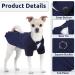 Cit toile Dog Wedding Suit Set | Tuxedo Shirt for Dogs & Cats - Perfect for Weddings Birthdays & Halloween | Blue - Sizes M & M - Buy Online on GoSupps.com