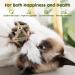 Potaroma Catnip Toys - Silvervine Stick, Cage Balls & Bell Ball for Indoor Cats - Matatabi Cat Chew Toy - 3 Cage Balls - Buy Online on GoSupps.com